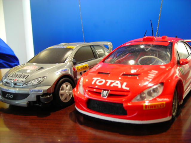 307CC WRC RC(ラジオコントロール）