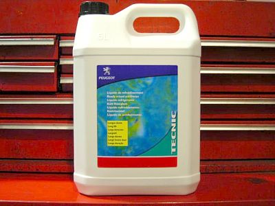 暑くなってきました。