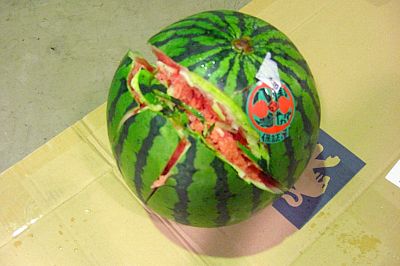 暑すぎる！！