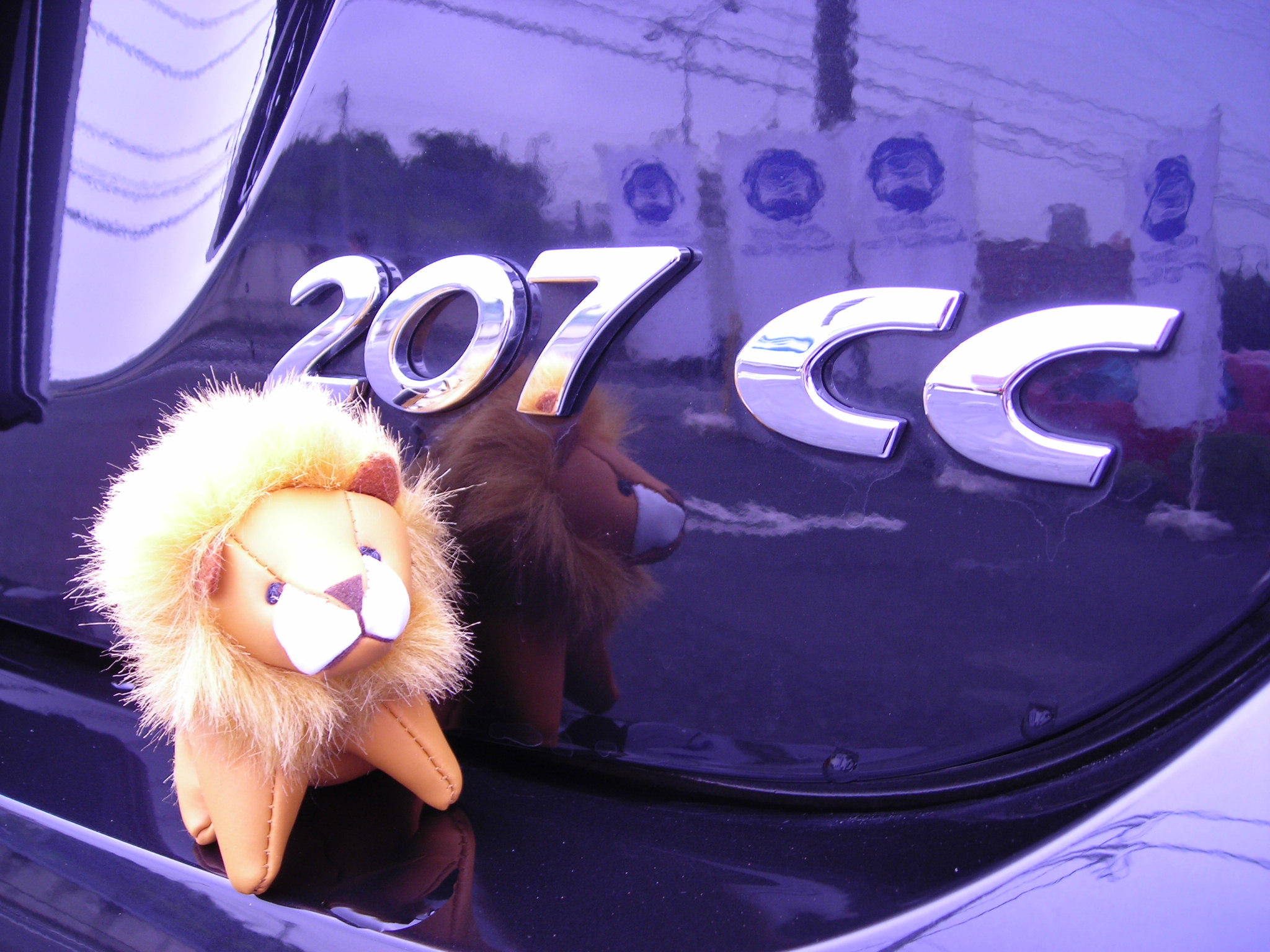 「３０８ＣＣ」だけじゃありません！！