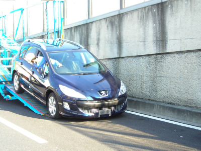 来ましたよー。