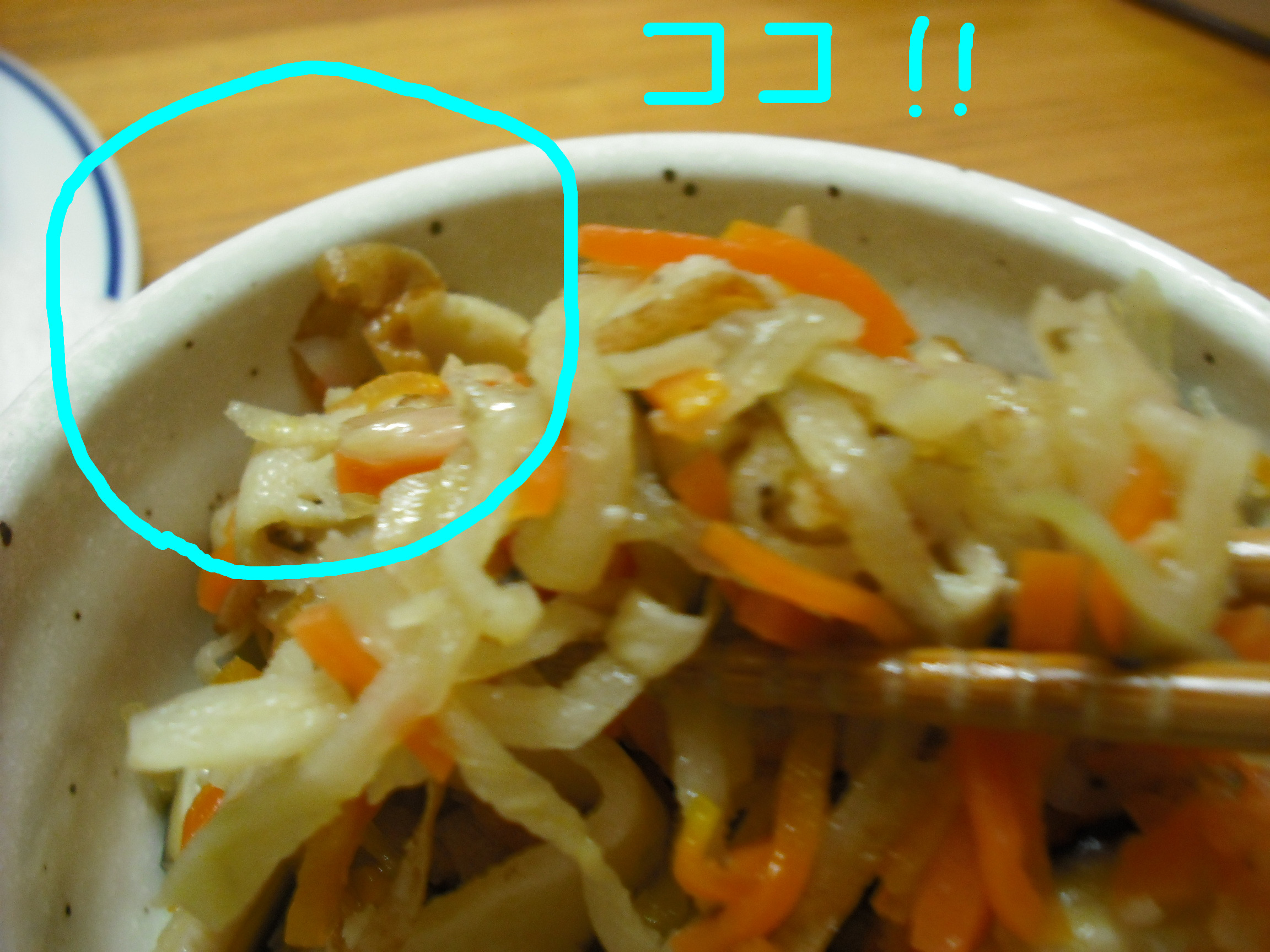 突撃!!私の晩ごはん