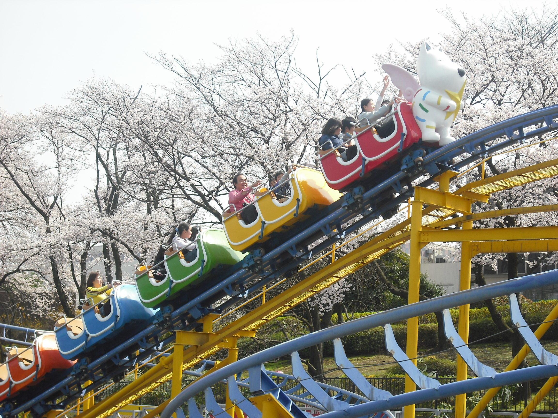 春の遊園地！！