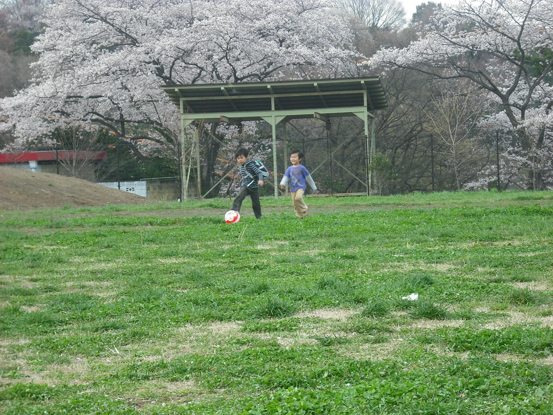 春の遊園地！！
