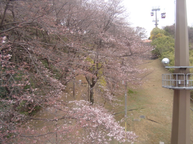 お出かけ