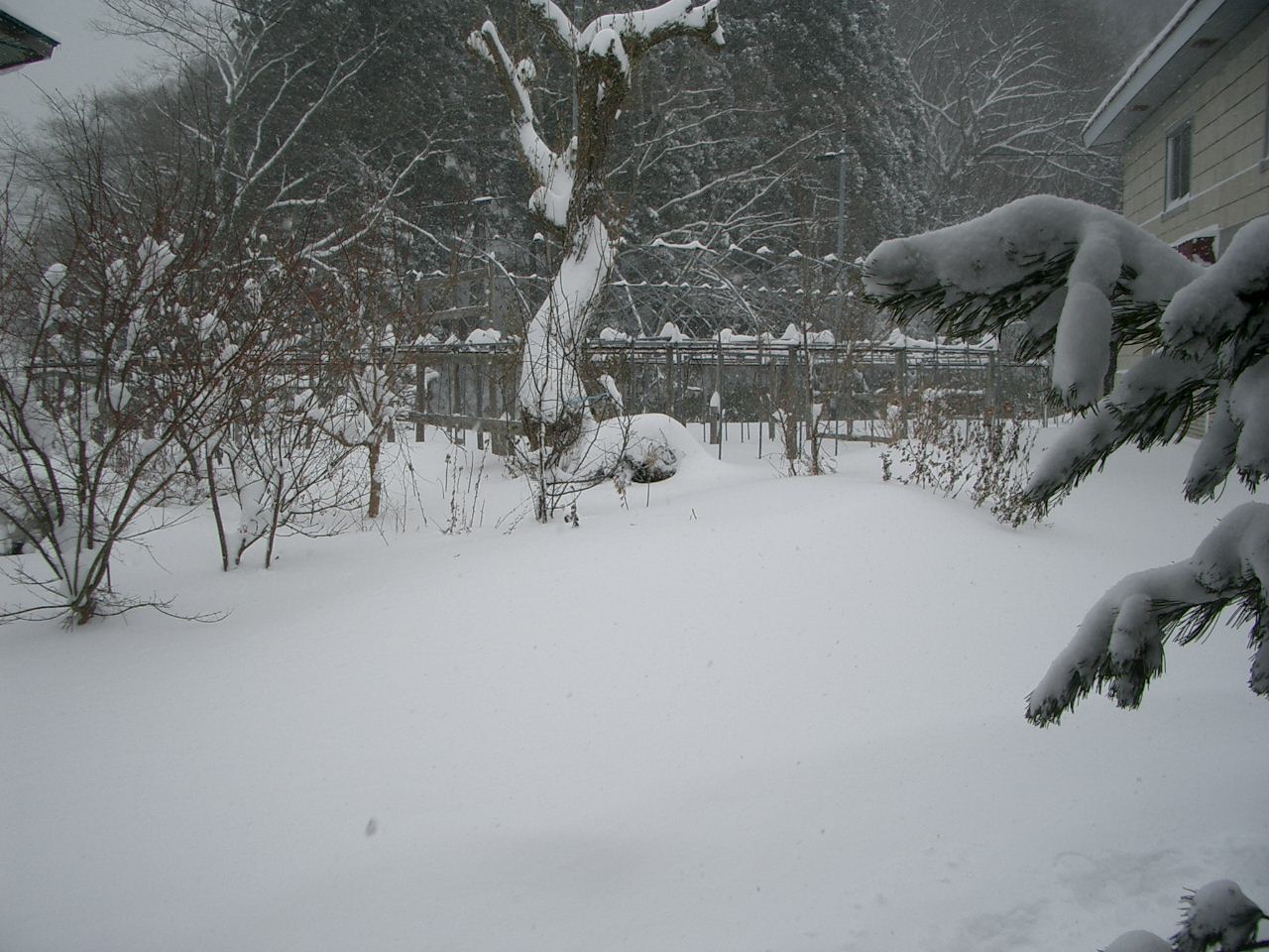 節電効果あるかな？