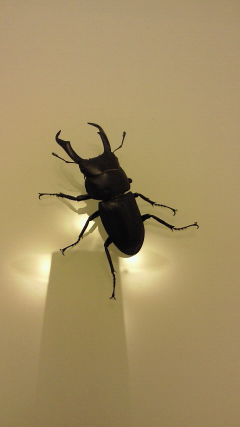 なぜ？どうやって？