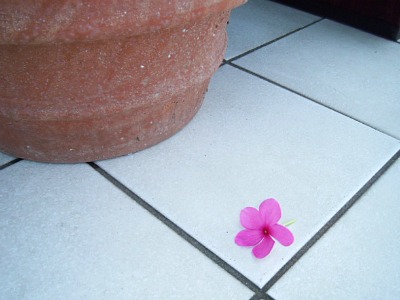 身近なリサイクル