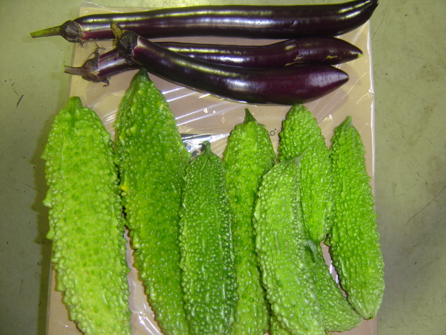 野菜通信その3？