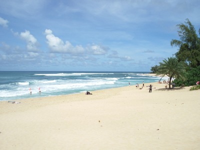 ハワイに行ってきました。