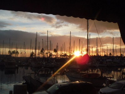 ハワイに行ってきました。