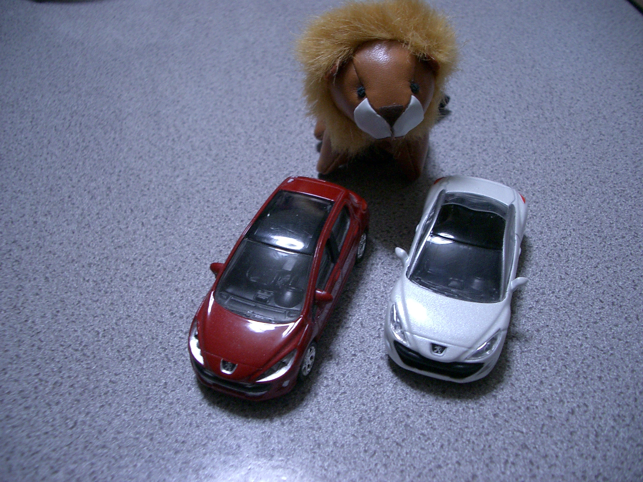 ちょっとだけ不安になりました・・・