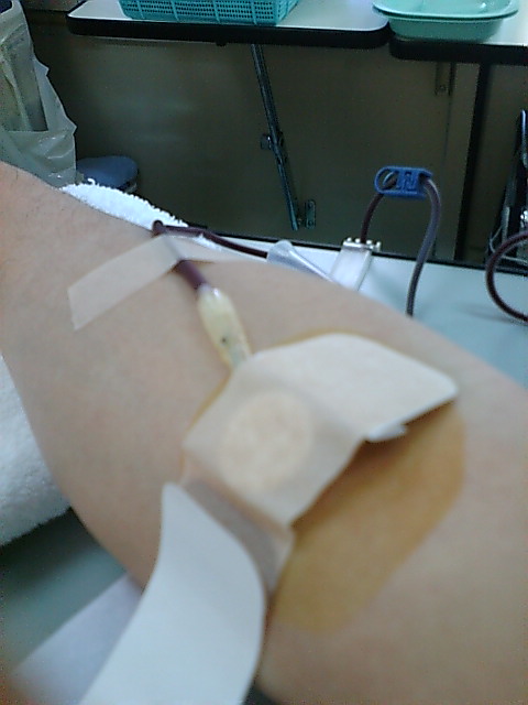 陸事にて献血