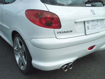 206 RC が入りました。