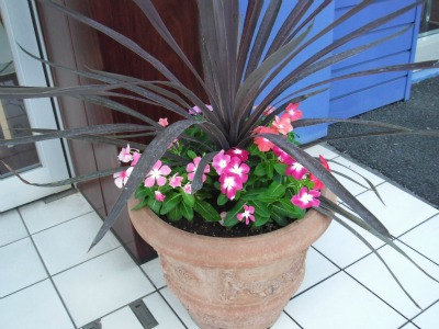 プジョー新横浜は男所帯です。