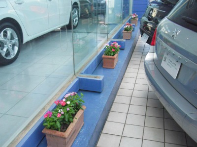 プジョー新横浜は男所帯です。