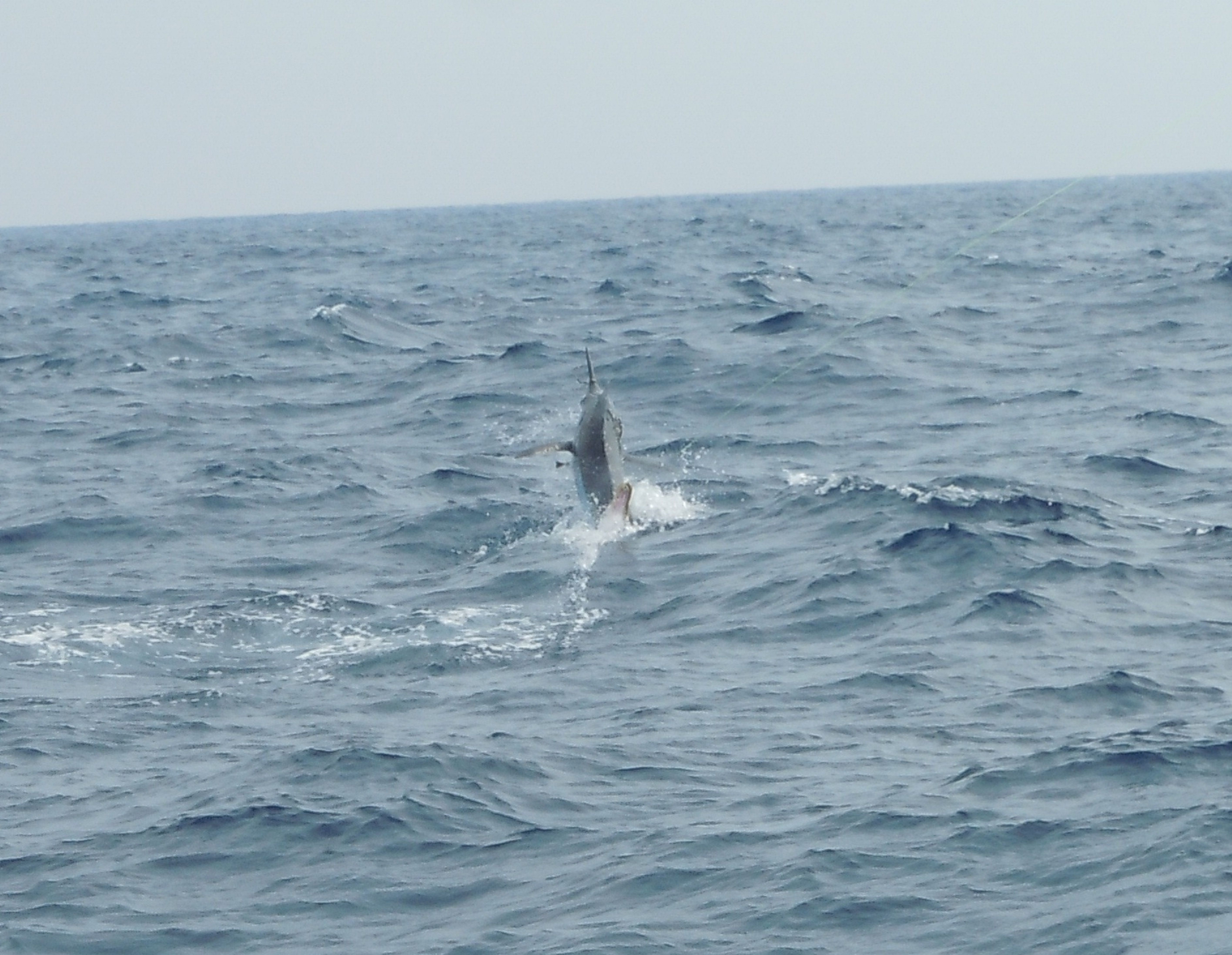 漁師への第一歩