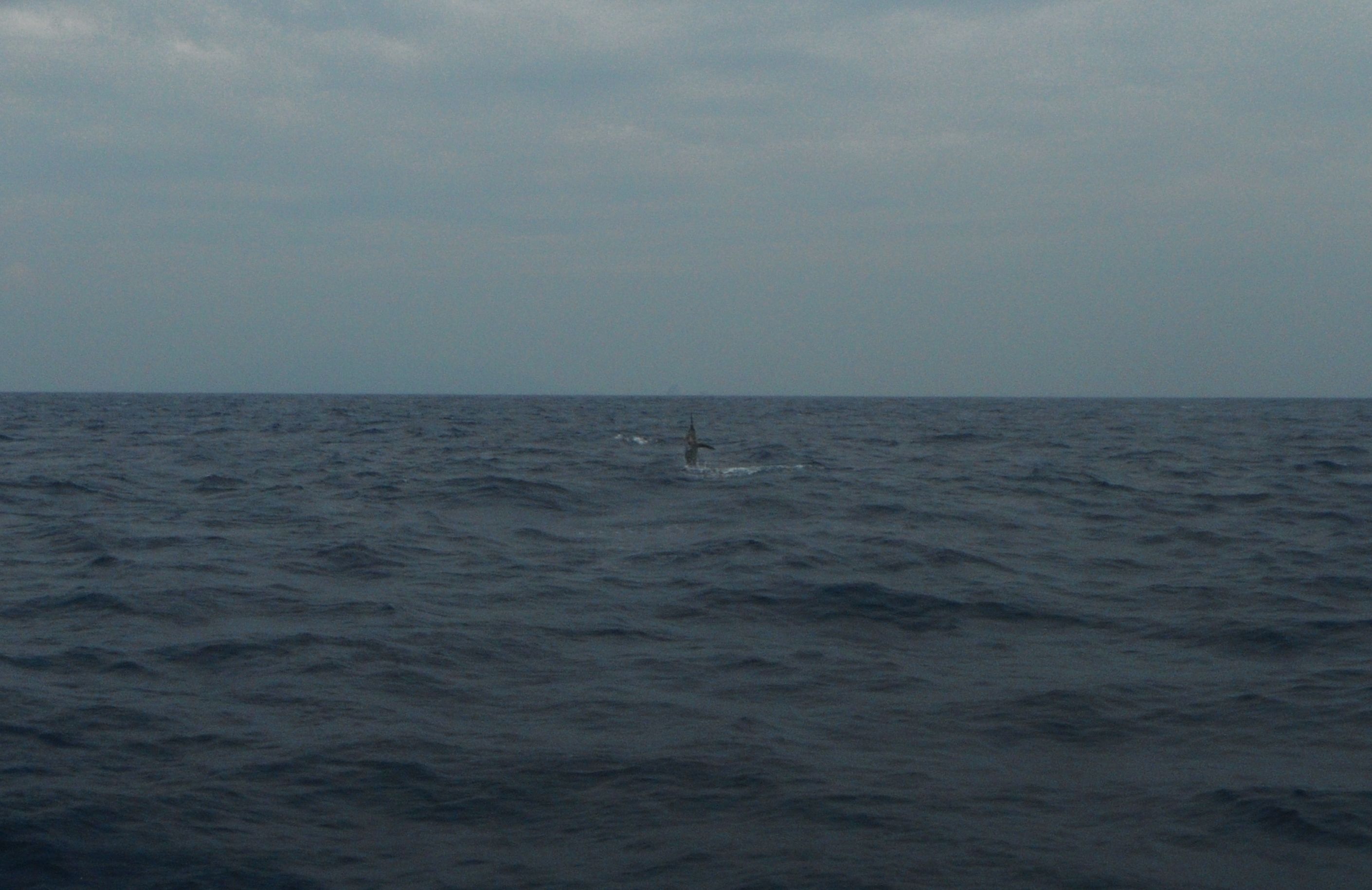 漁師への第一歩