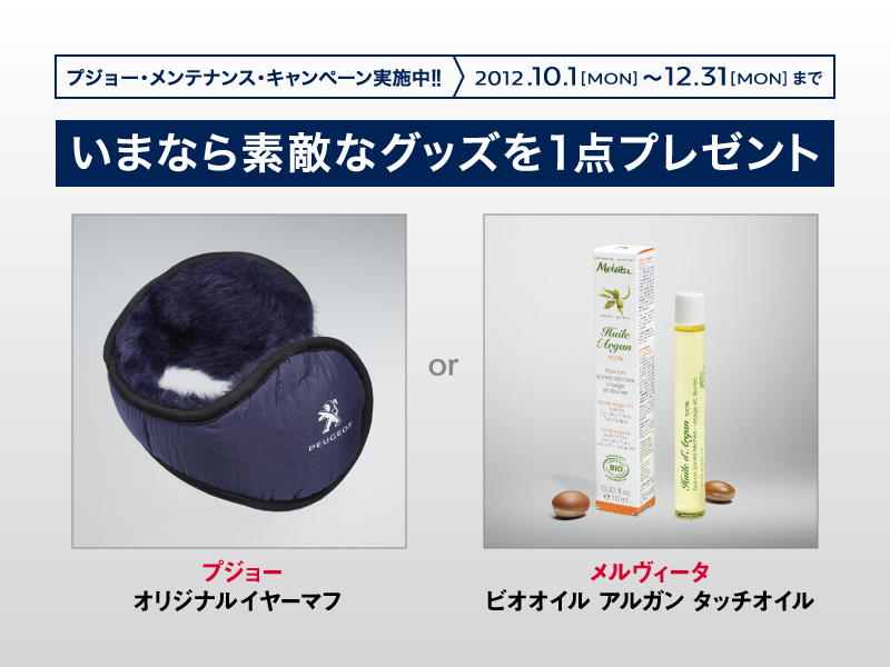 キャンペーン　目白押し