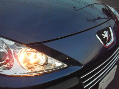 元祖、フェリーヌ