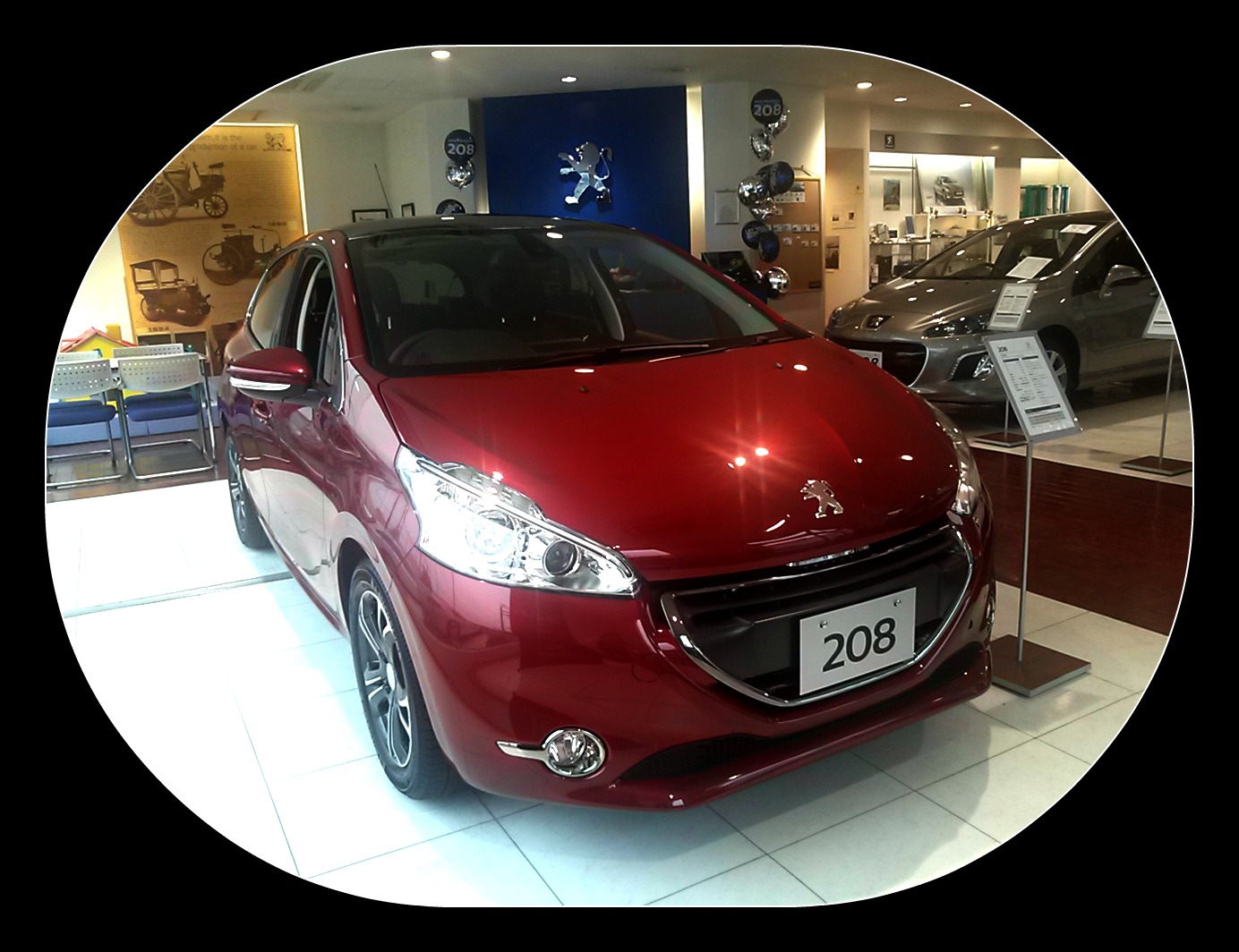 新しい展示車、入りました