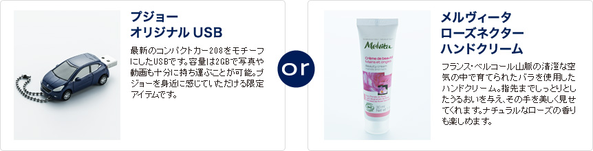 プジョーメンテナンスキャンペーン