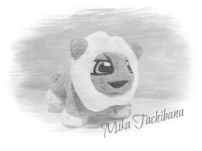 わたしたちの週末