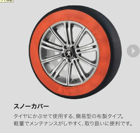 雪の予報でしたが