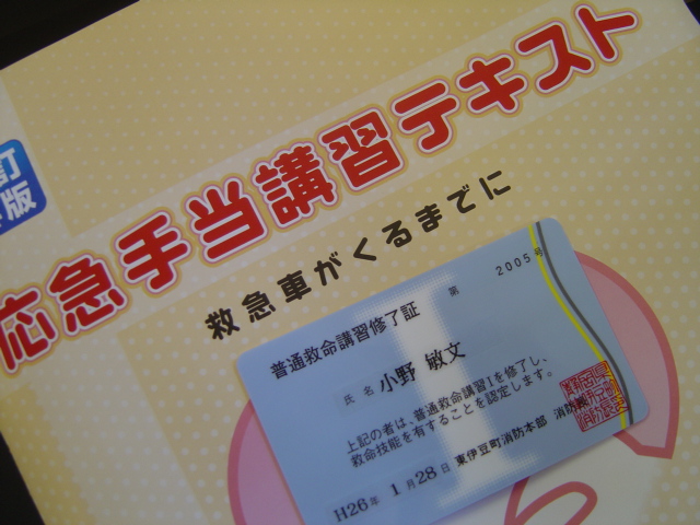 やってみなけりゃ・・・