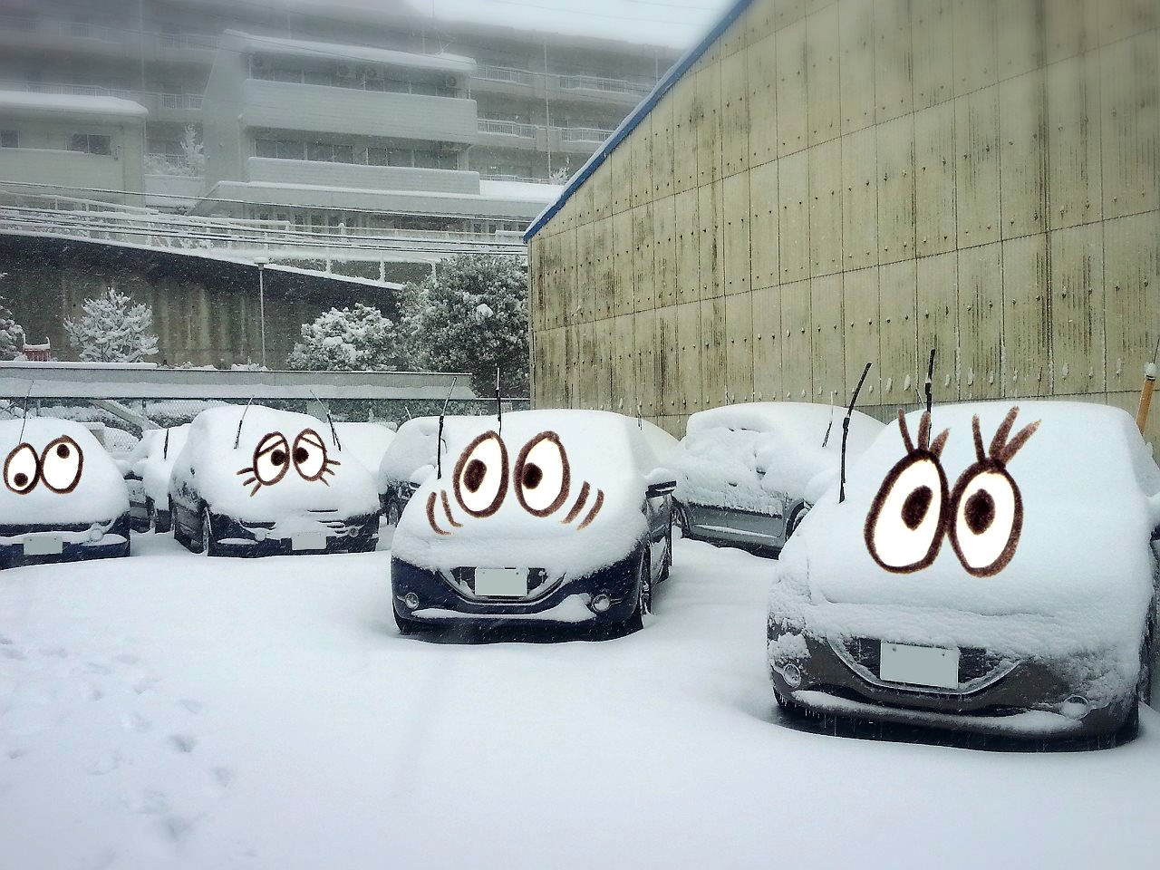 雪の日は