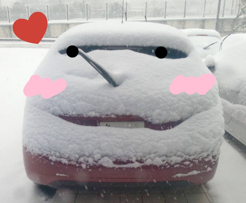 雪の日は