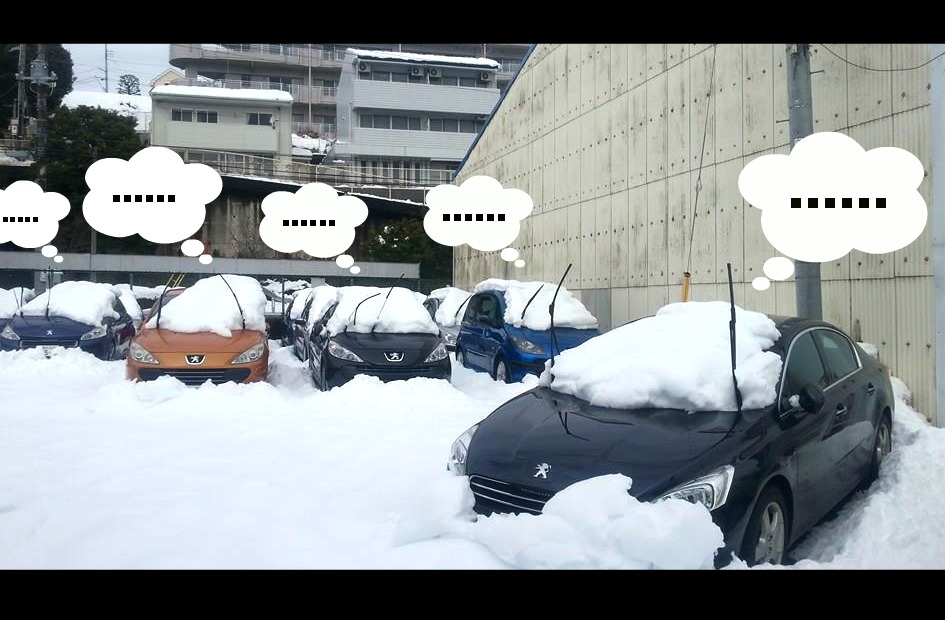 またもやドカ雪・・・！