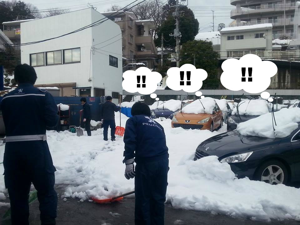 またもやドカ雪・・・！