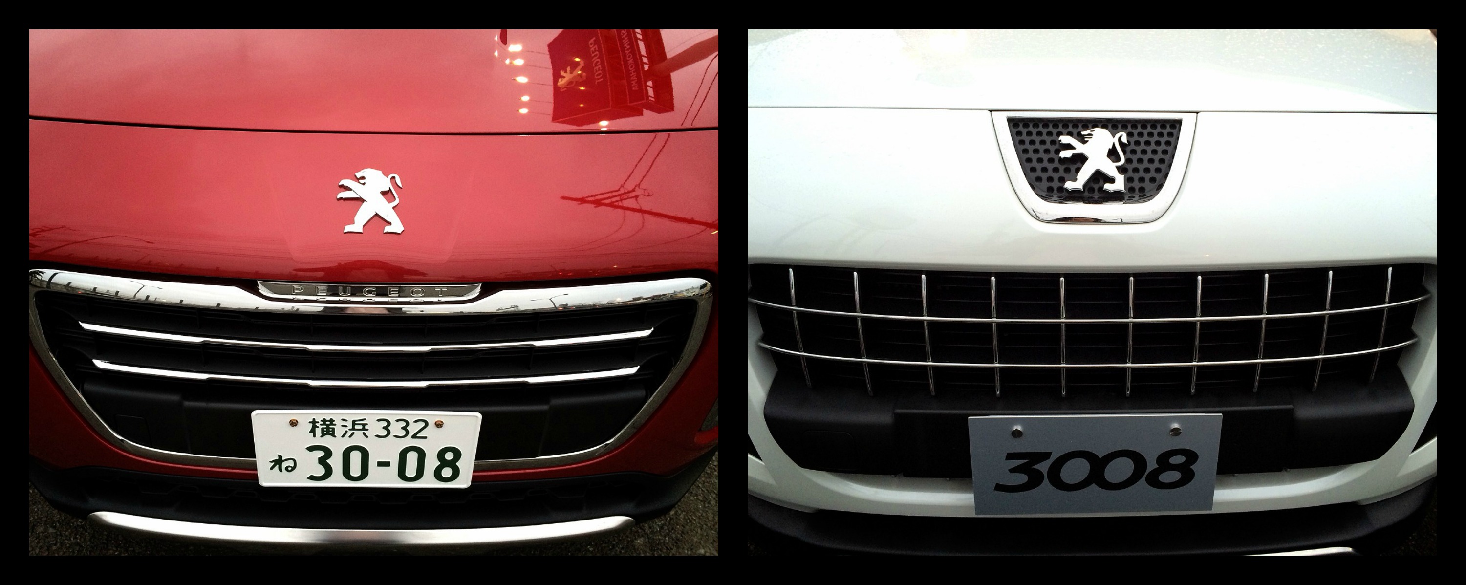 ＮＥＷ３００８！