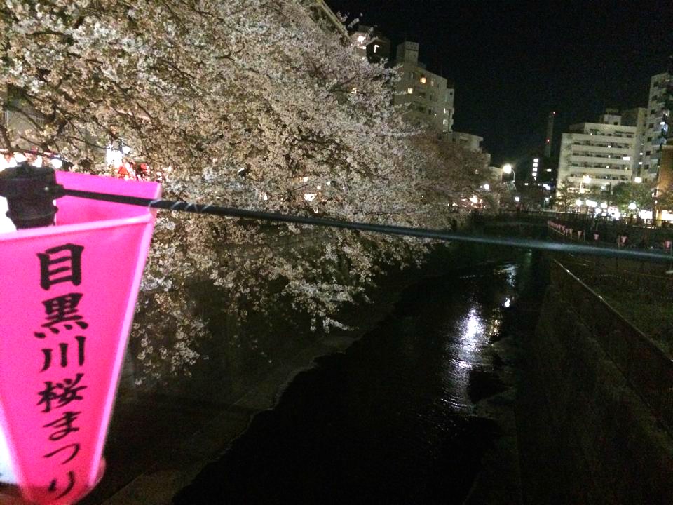 おすすめスポット目黒川！！