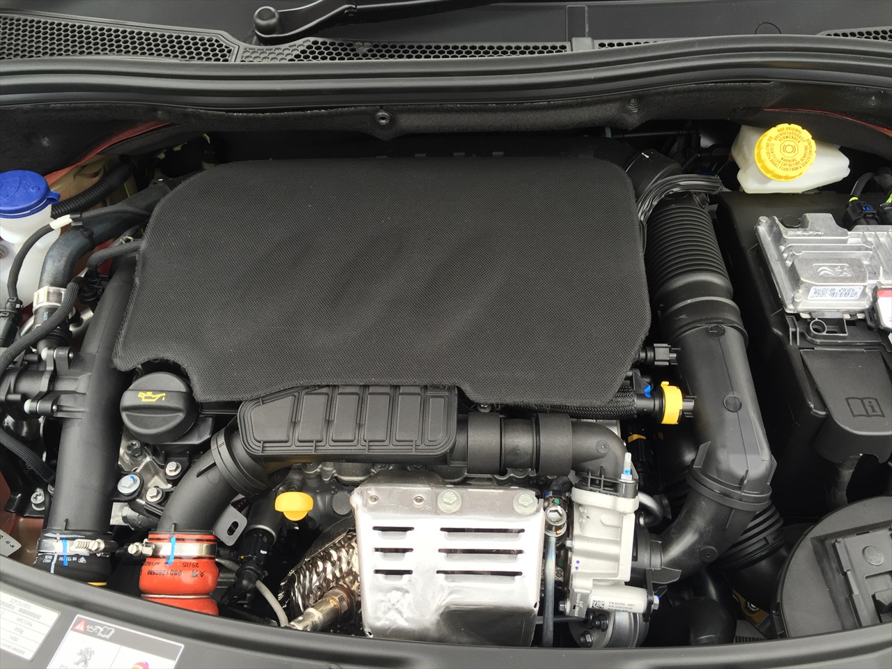 New208来ました！！