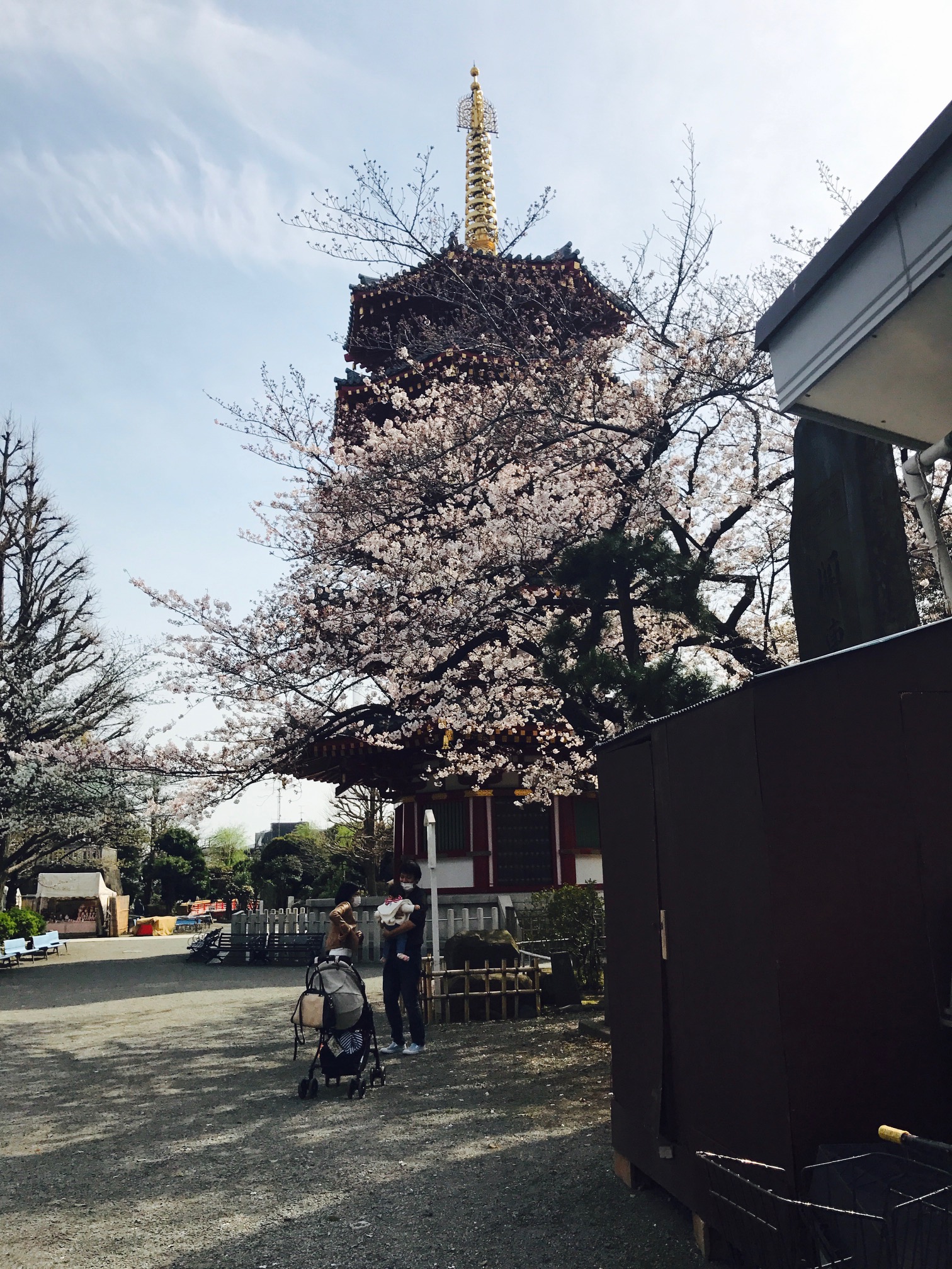 花より和菓子