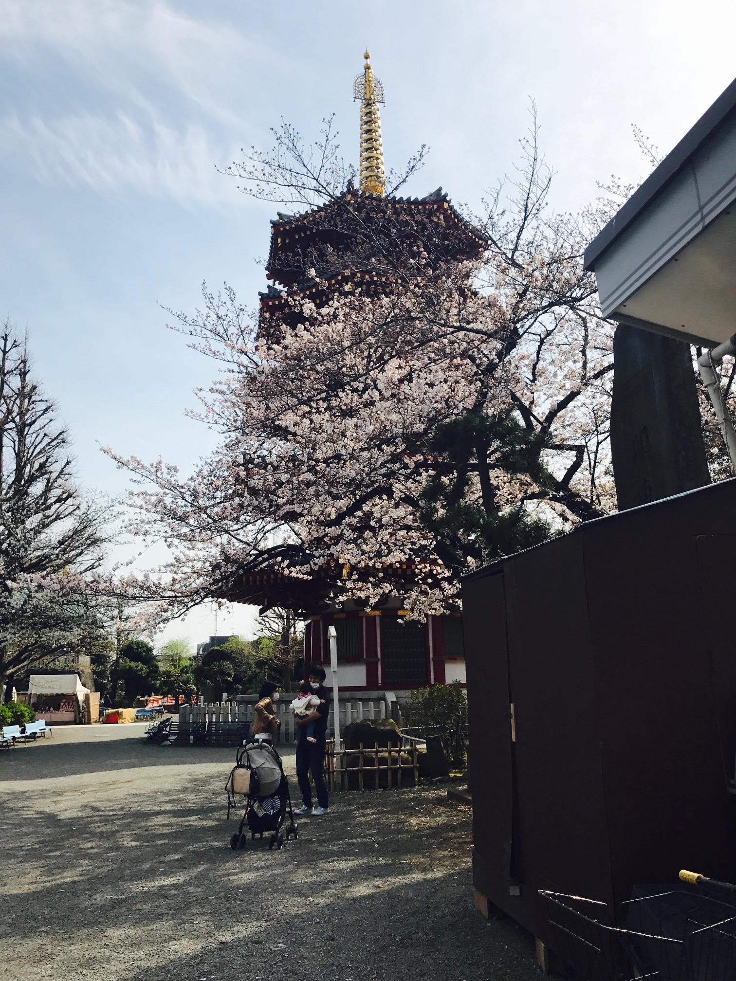 花より和菓子