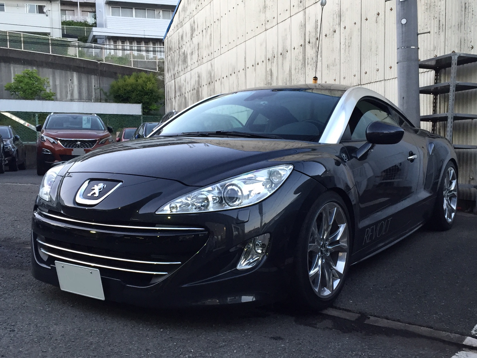 ☆チャンピオンご来店☆