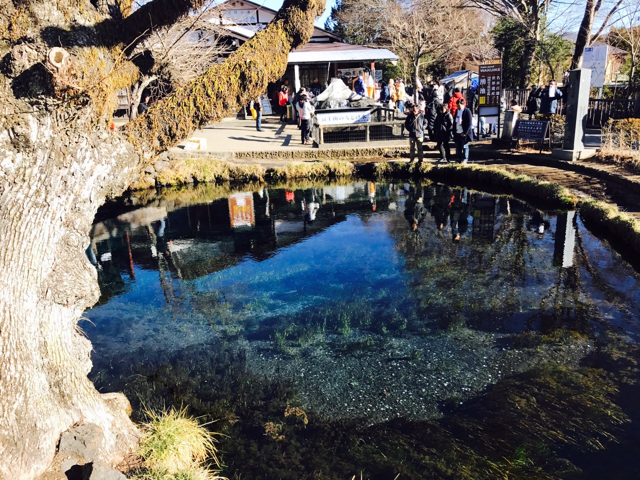 ２０１８年は富士山パワー