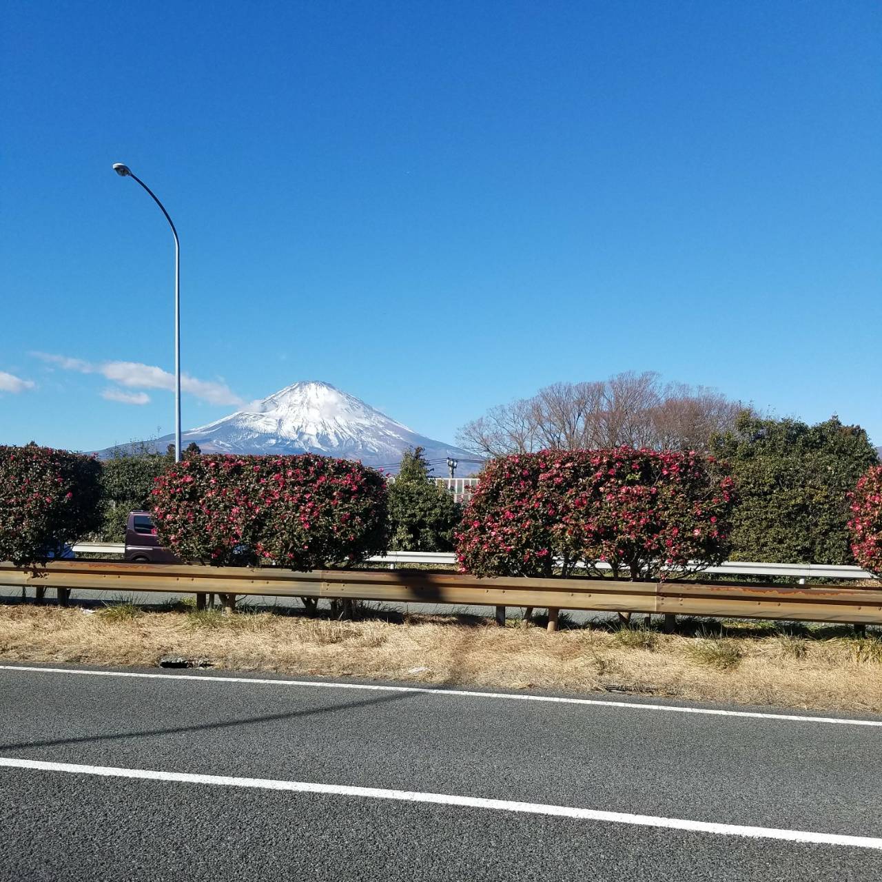 ２０１８年は富士山パワー