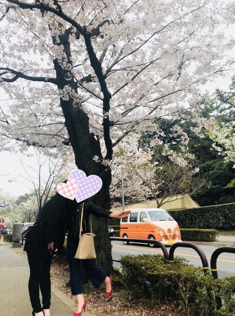 お散歩日和