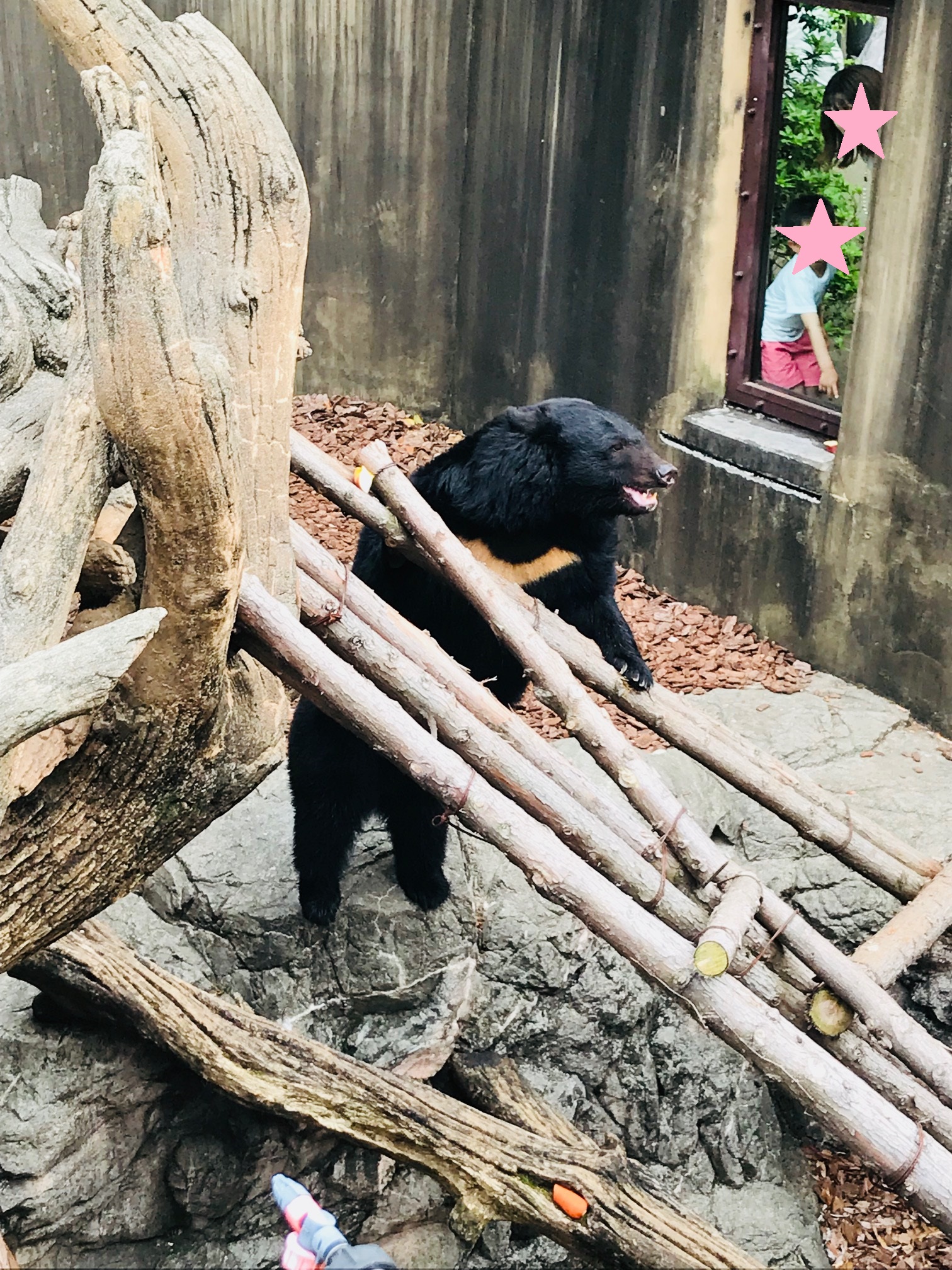 『ＵＥＮＯ ＺＯＯ』