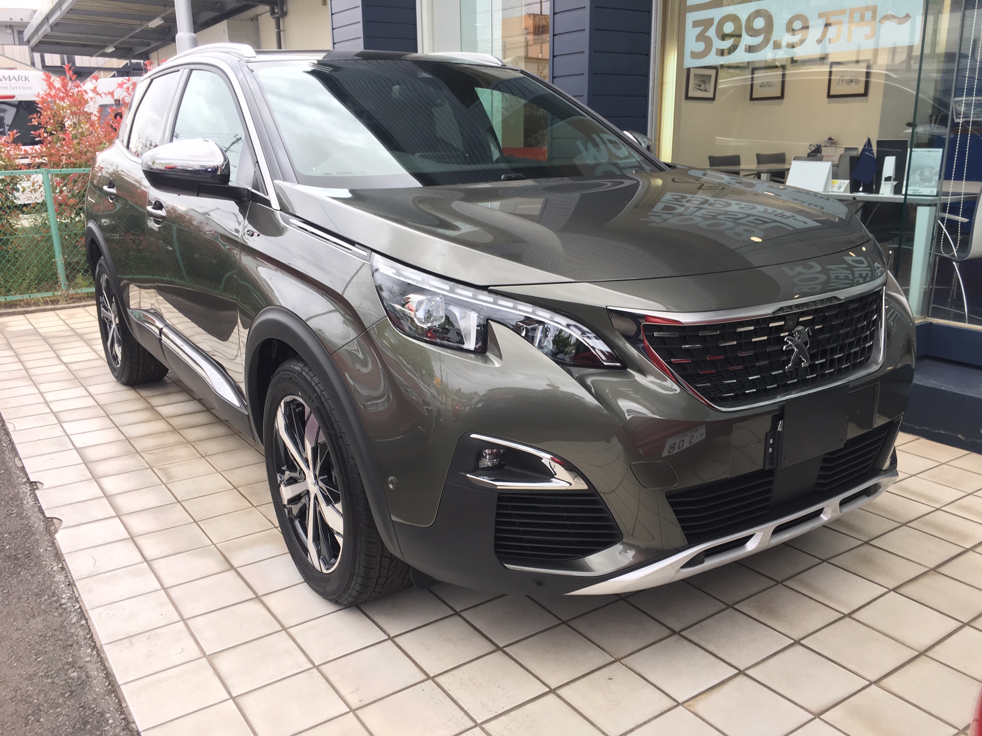 アマゾナイトグレー