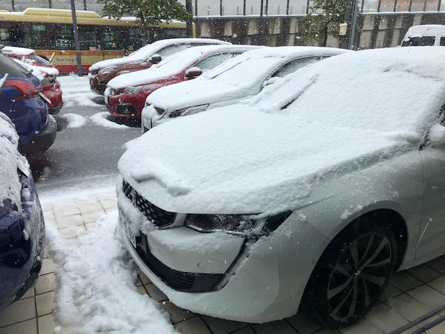 横浜、雪模様です。