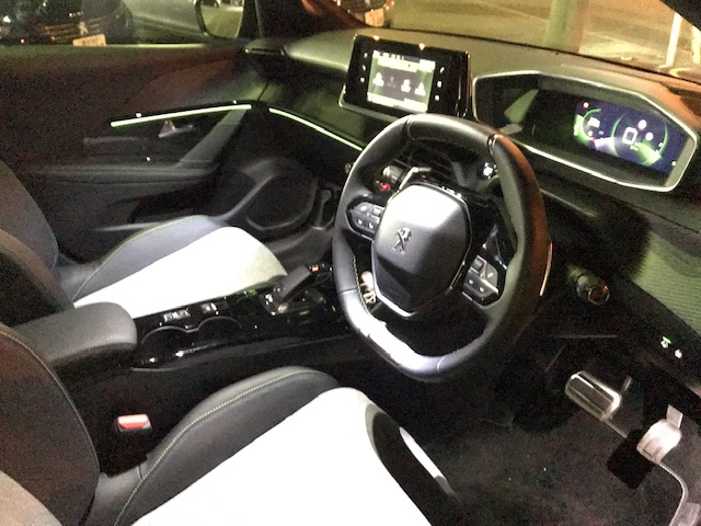 NEW208の夜顔