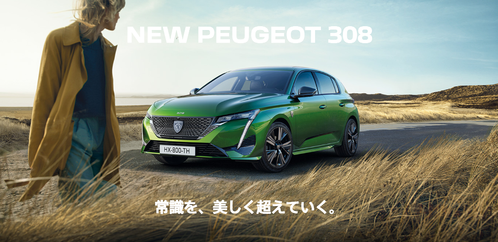 NEW308ご予約開始しております(エクステリア)