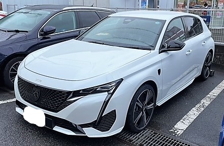 NEW308GTパールホワイト（エクステリア）