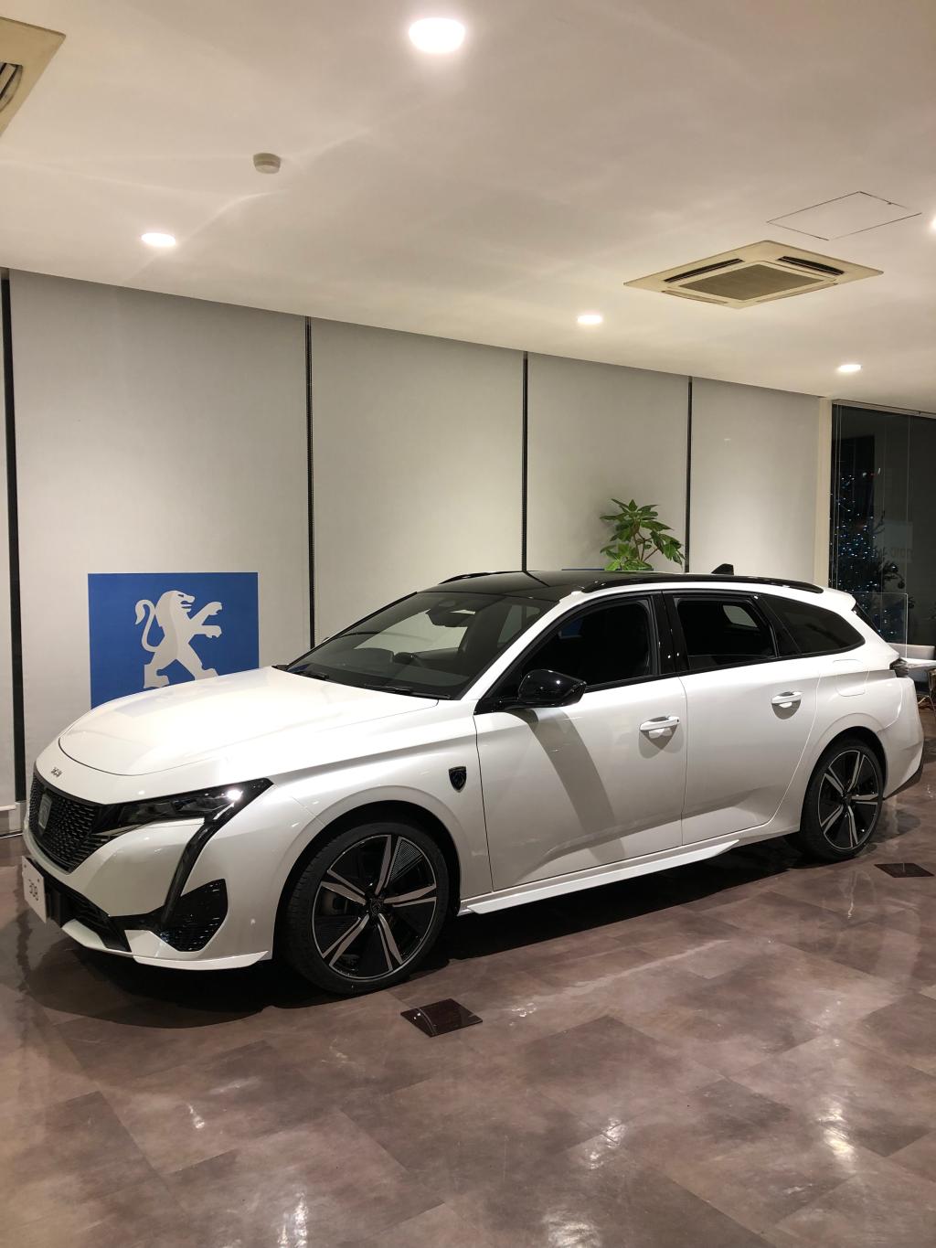 308SW GT（エクステリア）