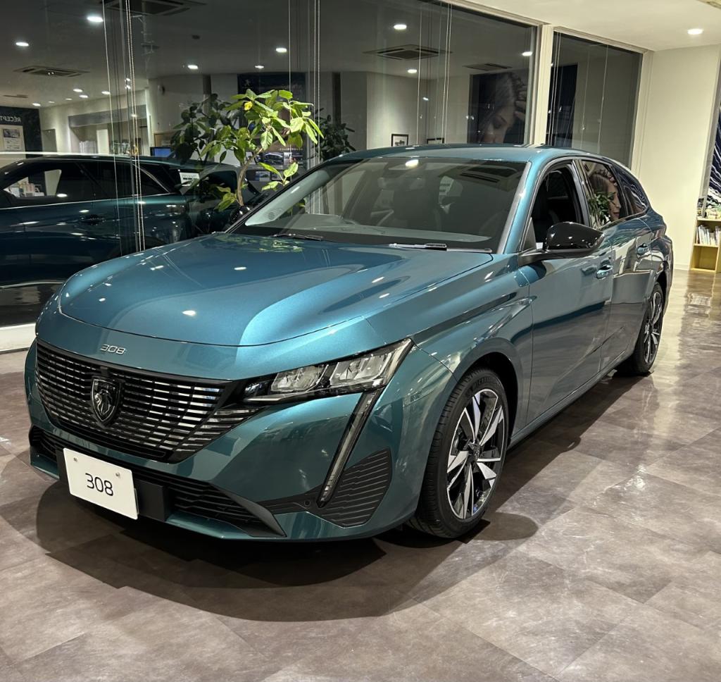 308SWアバター・ブルー